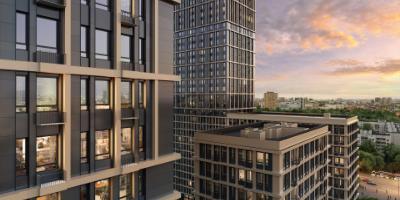 Дубровка от Гранель