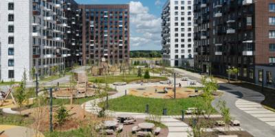 Янинский лес