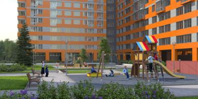 Краски жизни