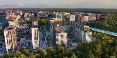 Город «В лесу»