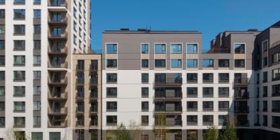 Брусника в Академическом